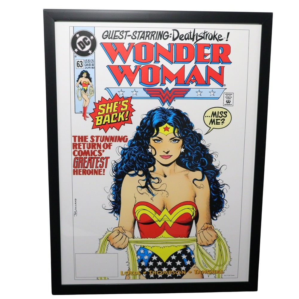 Wonder Woman Comic Cover #63 Framed‎ 12x16 Wall Art | DC Comics by Brian Bolland
